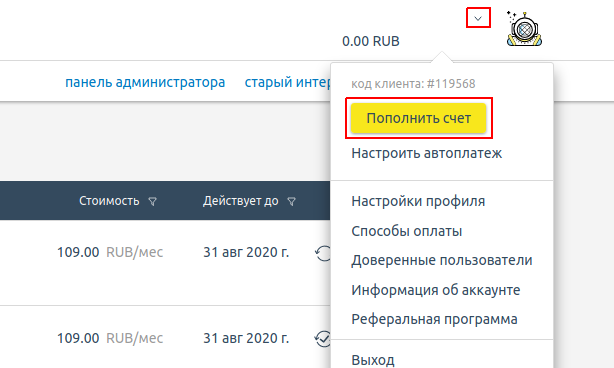 Пополнения счета в биллинг-панели HandyHost