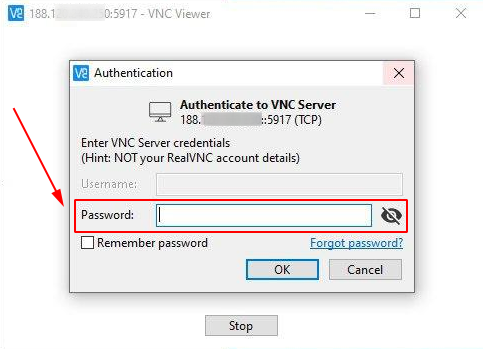 В окне VNC-Viewer вводим пароль