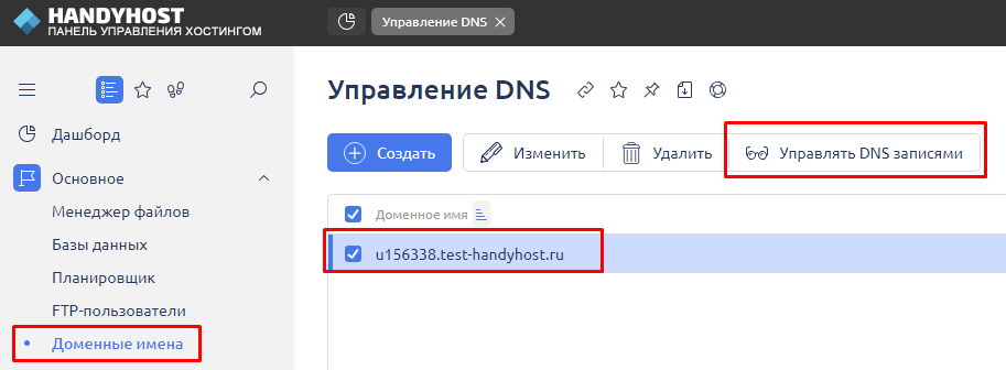 Переход в раздел доменные имена в панели управления хостингом для редактирования DNS-записи домена 