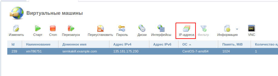 IP-адреса VPS-сервера в панели управления